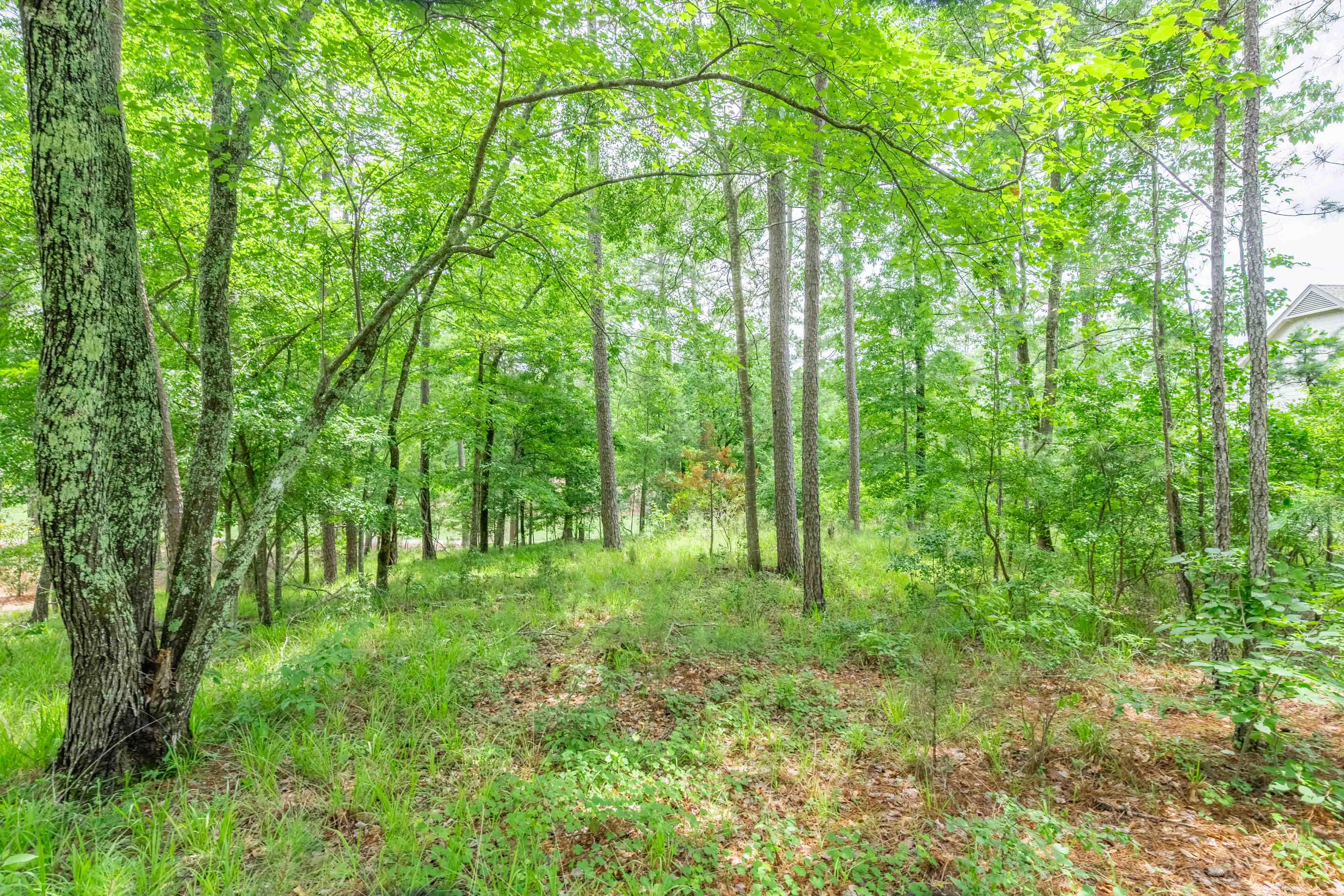 1101 Scull Shoals Drive image 14